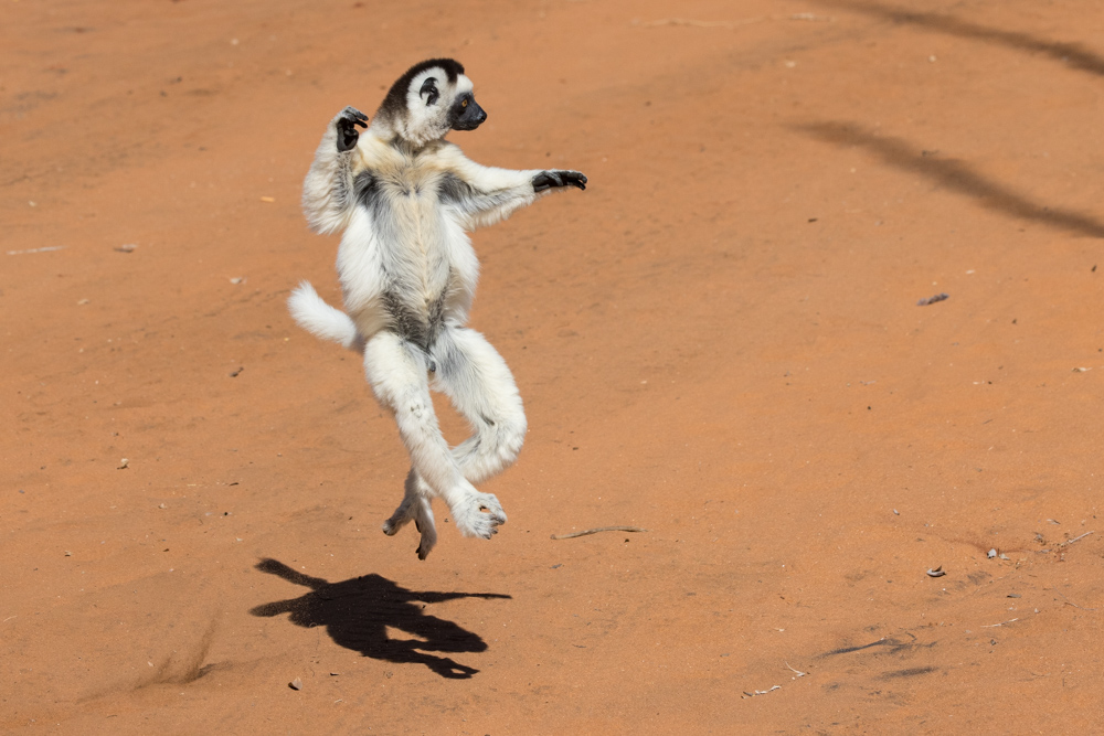 madagascar2022
