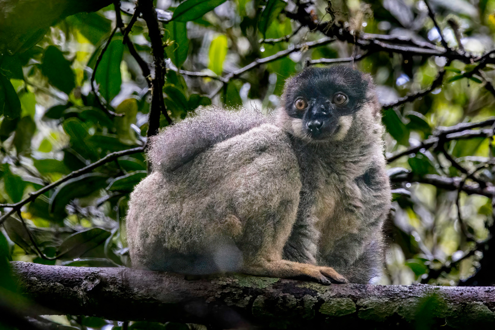 madagascar2022