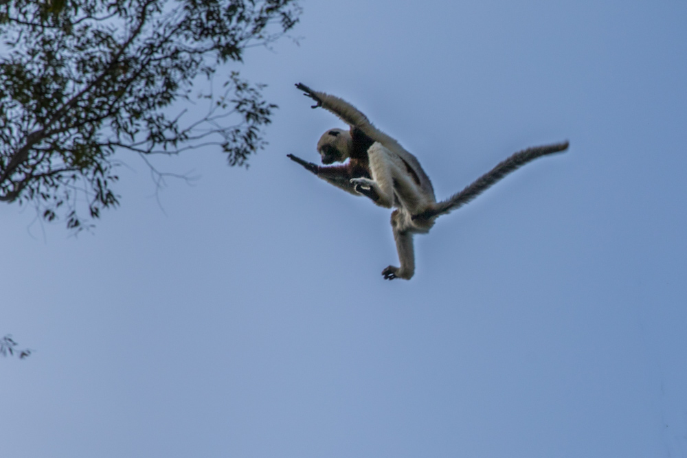 madagascar2022