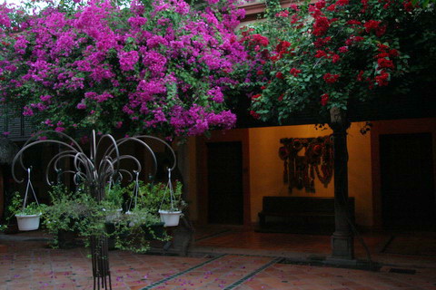 mexico2007