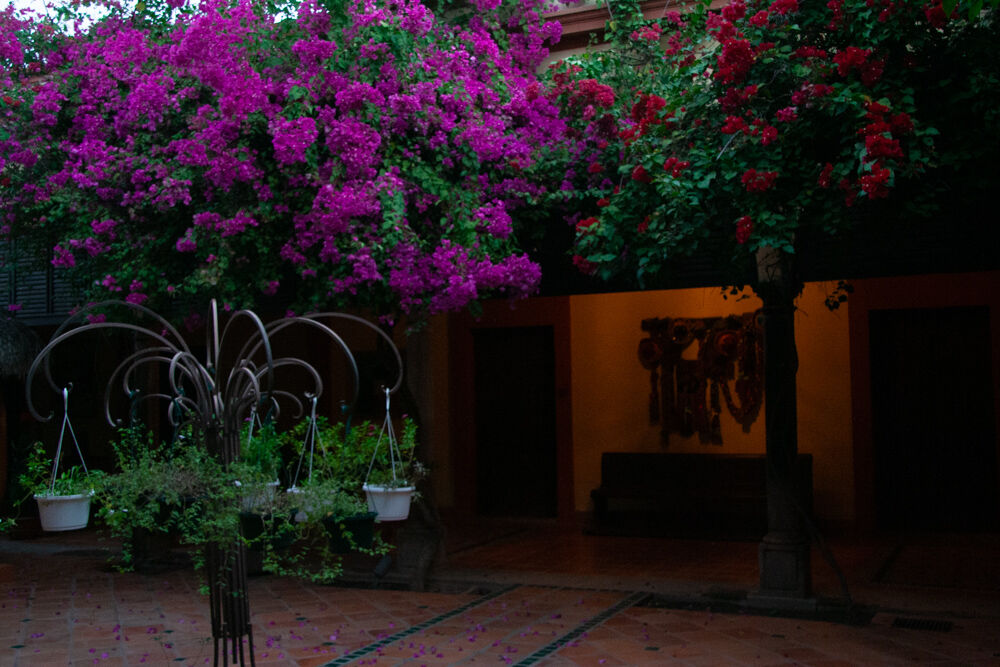 mexico2007