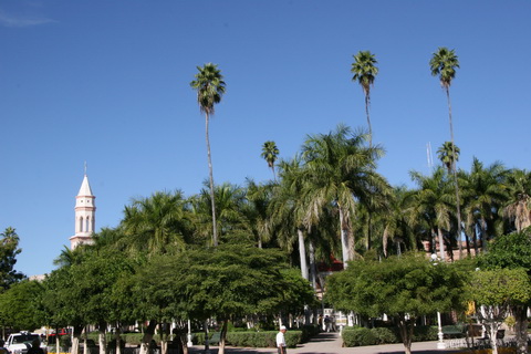 mexico2007