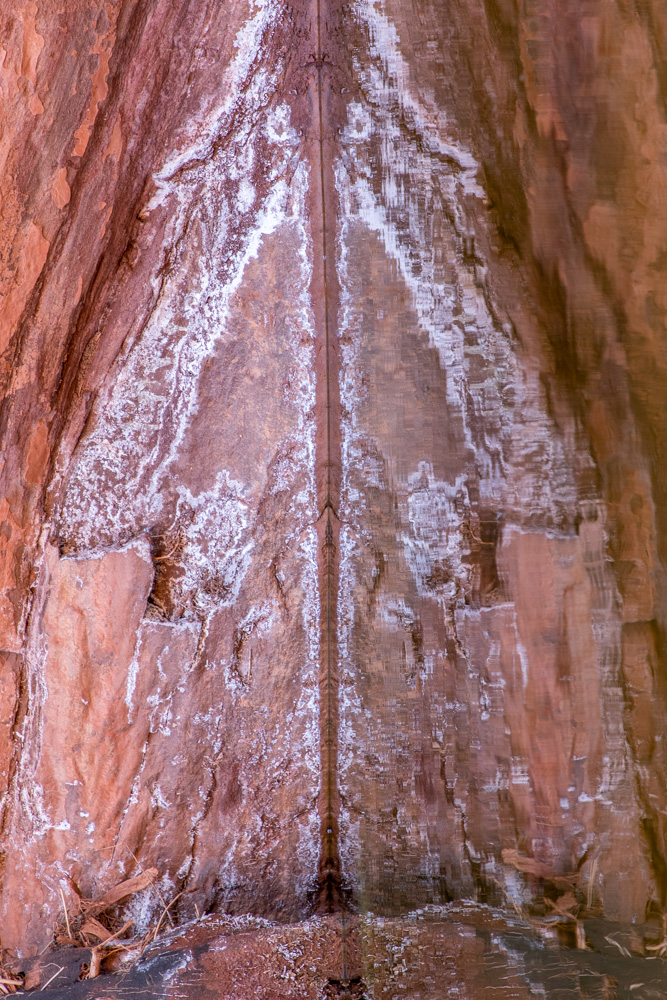 moab2021