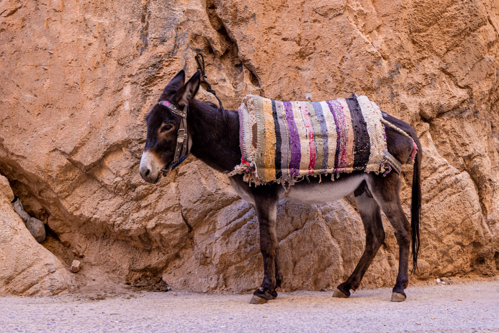 morocco2022