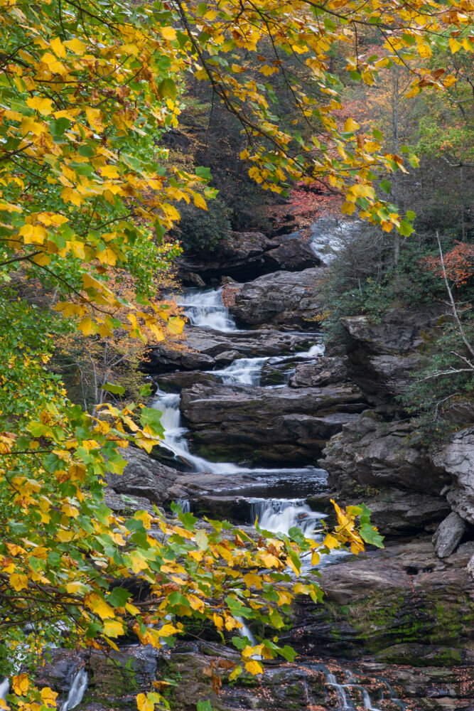 North Carolina 2008