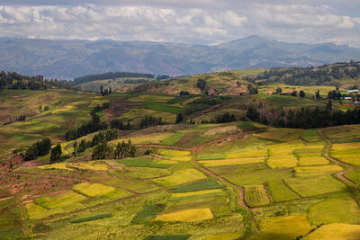 The countryside looking back at Cusco from a pass in the Andes at 12,000 feet