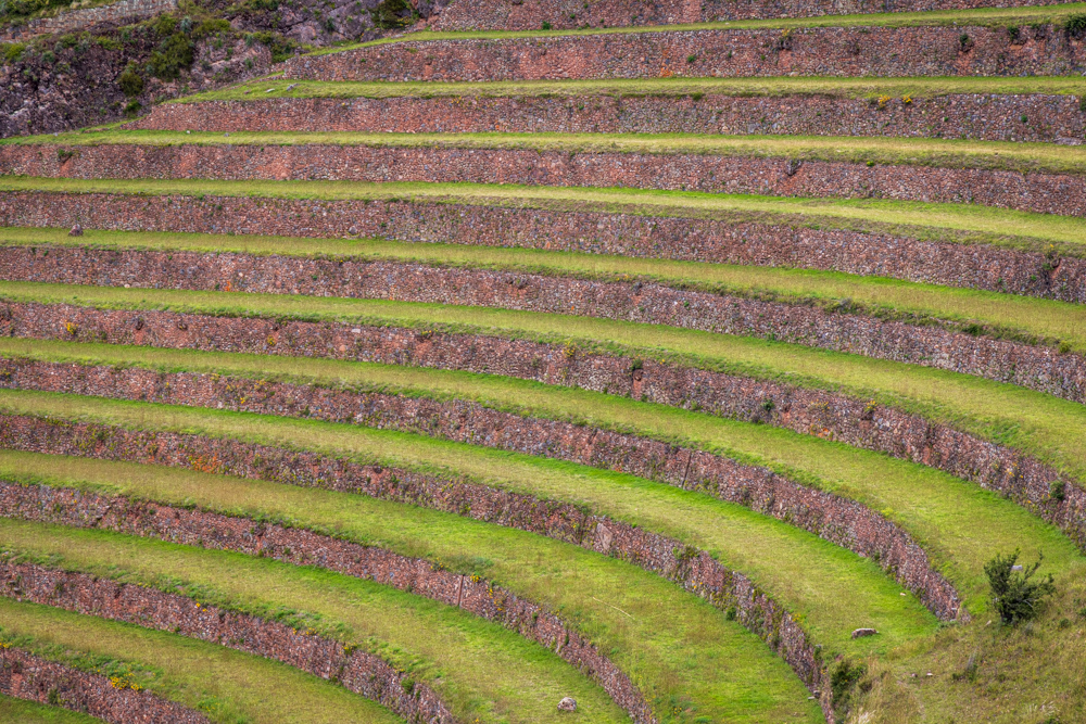 Terraces primarily used for farming and preventing erosion