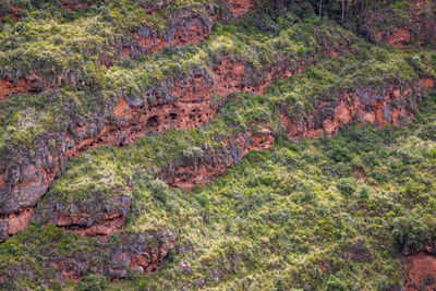 Cliffs near Pisac containing burial holes