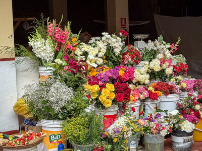 Walking through the Pisac market