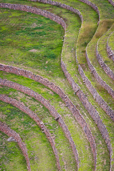The flow of the terraces