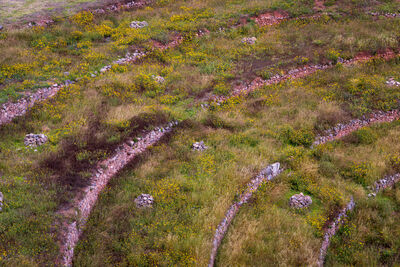 Further excavation required to recreate walls