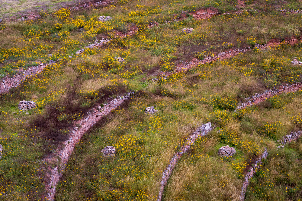 Further excavation required to recreate walls