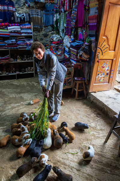 Virginia Ann feeding the Cuy
