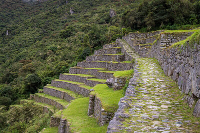 Terraces and jungle trail to Machu Picchu