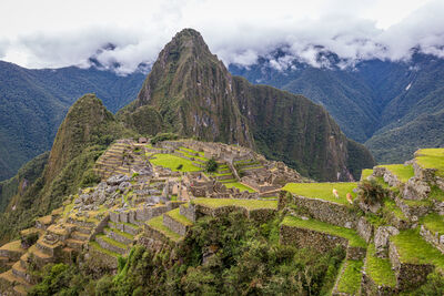Machu Picchu with llamas grazing