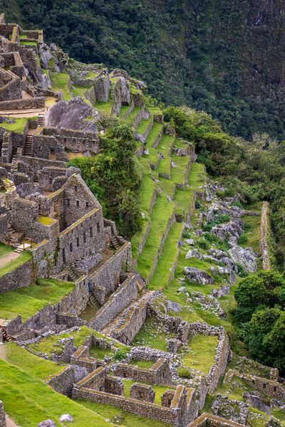 Steep slope with stairs and terraces