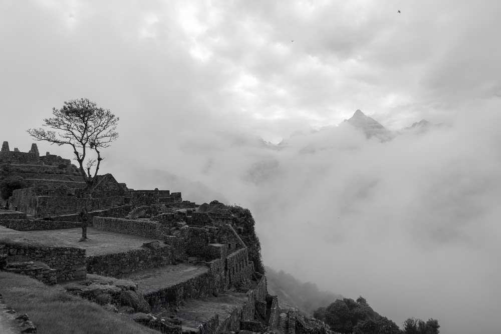 peru2024