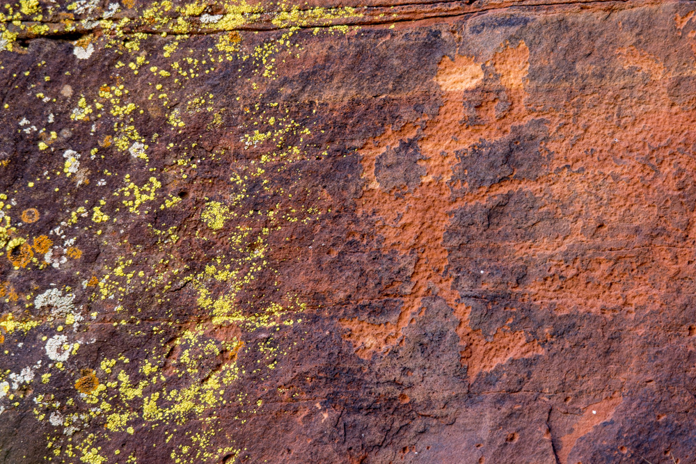 sedona2021
