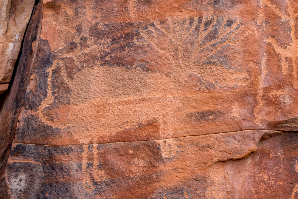 sedona2021