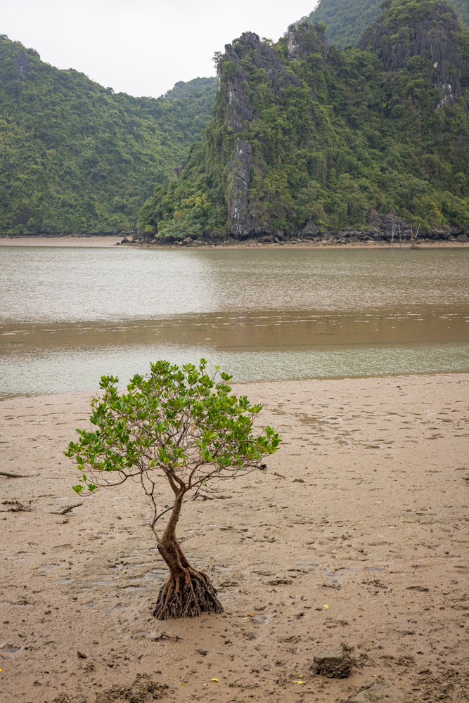 southeastasia2023