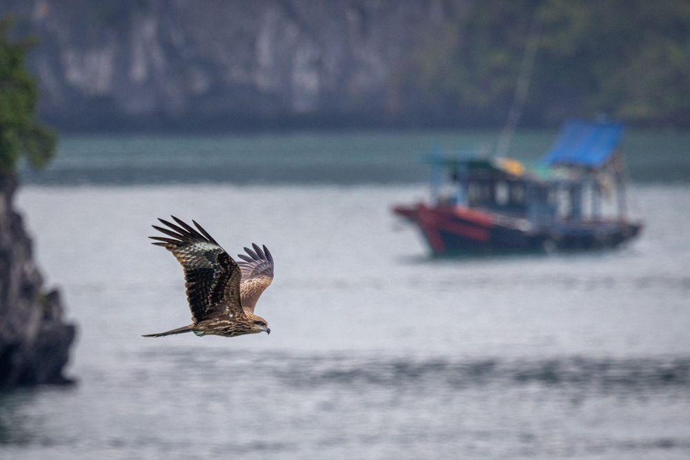 southeastasia2023