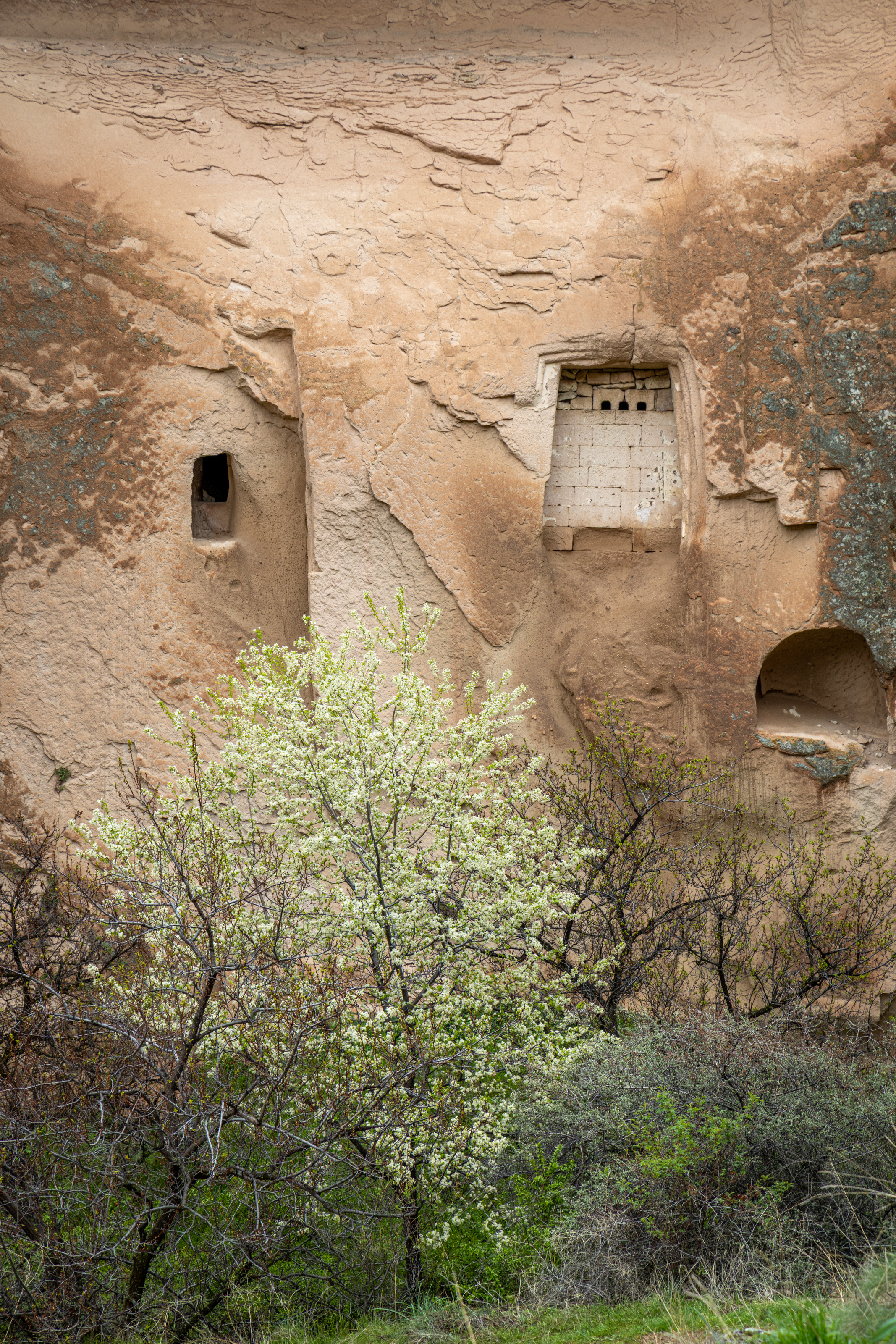 turkey2026
