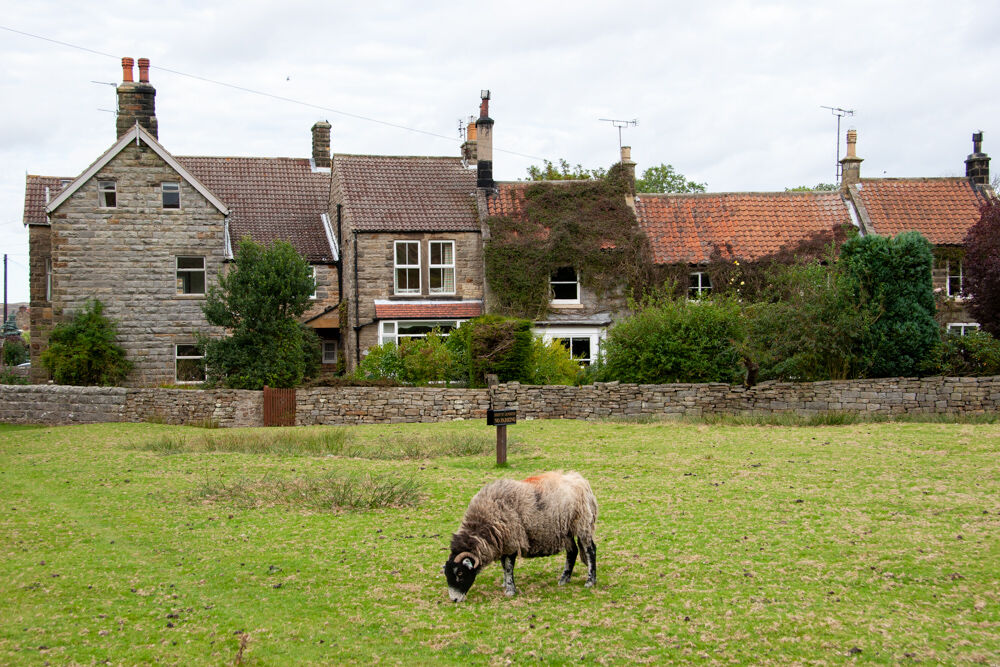 uk2007