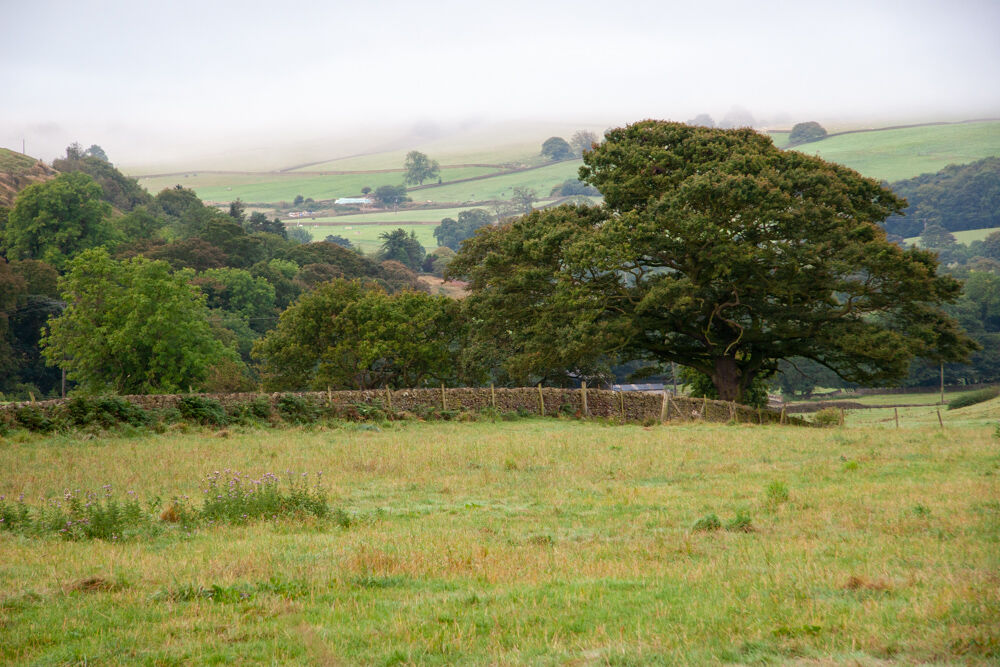uk2007