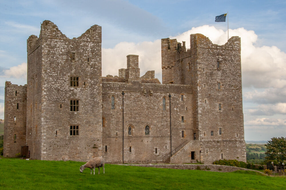 uk2007