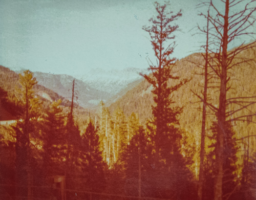 usa1979