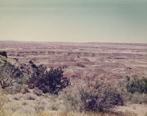 usa1979