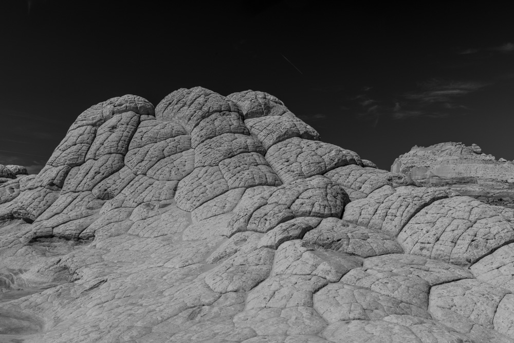 whitepocket2022