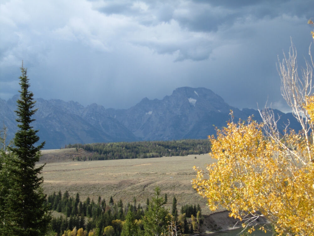 wyoming2009