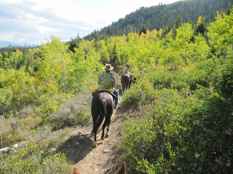 wyoming2009