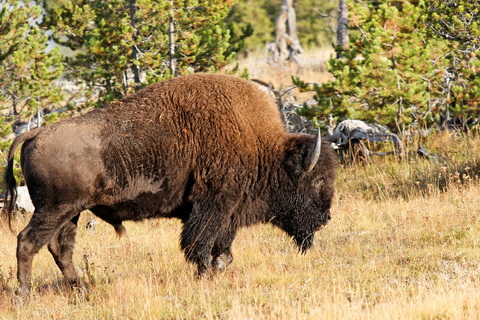 wyoming2009