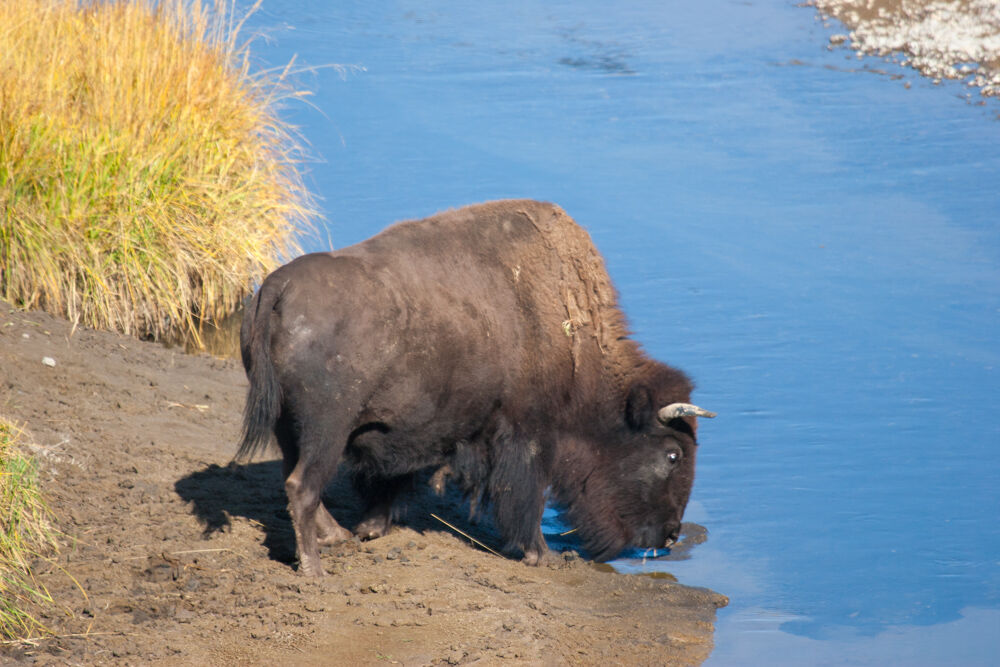 wyoming2009
