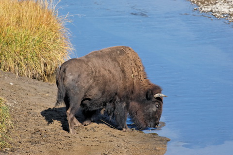 wyoming2009