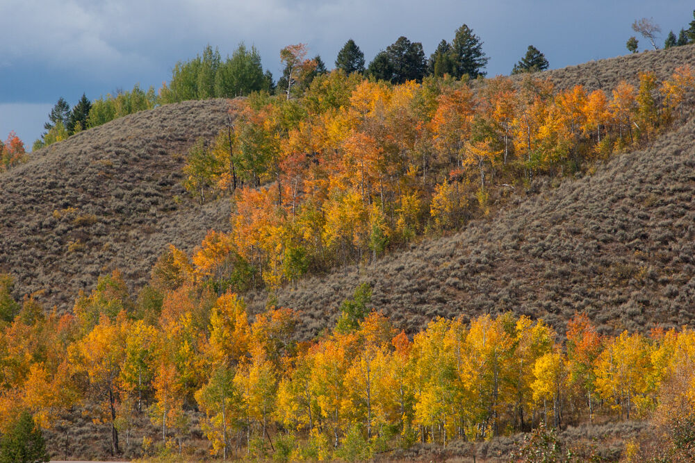 wyoming2009