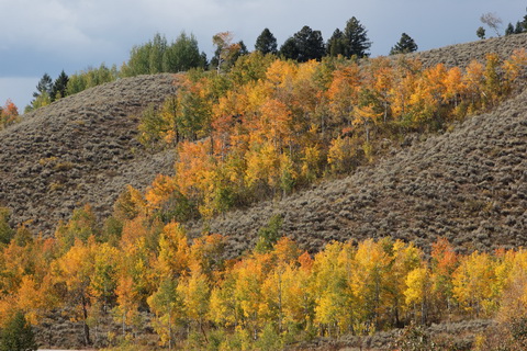 wyoming2009