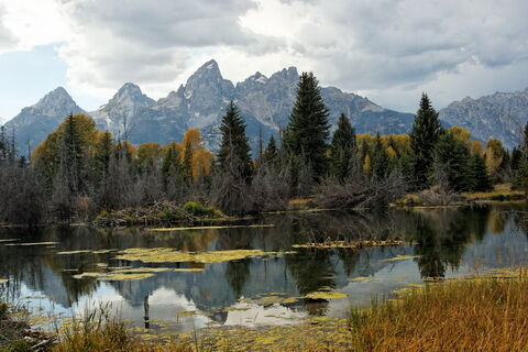 wyoming2009