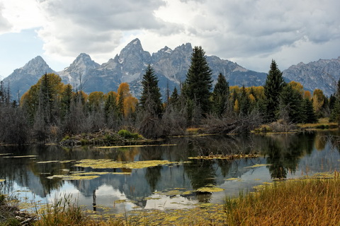 wyoming2009