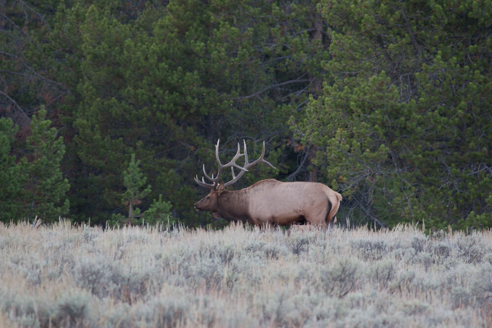 wyoming2009