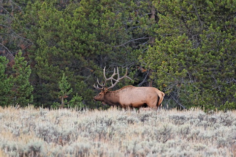 wyoming2009