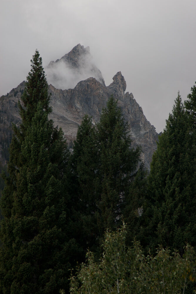 wyoming2009