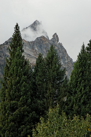 wyoming2009