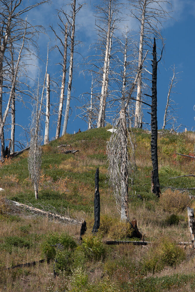wyoming2009