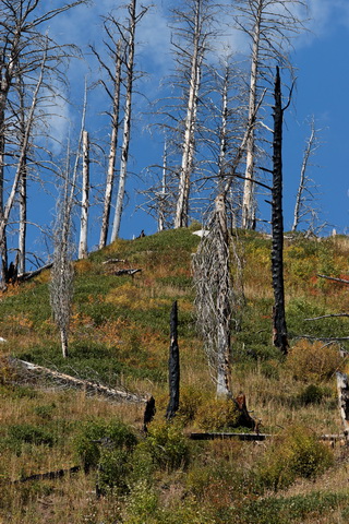 wyoming2009