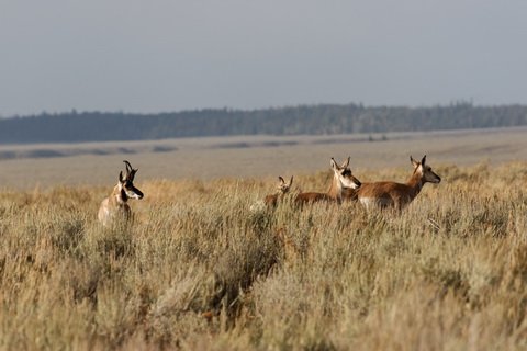wyoming2009