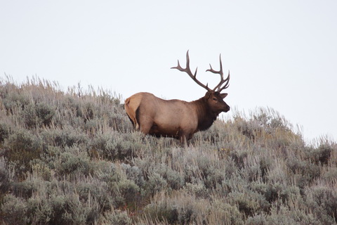 wyoming2009