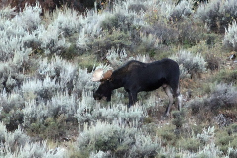 wyoming2009